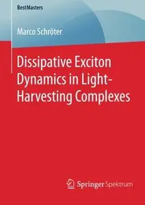 Dissipative Exciton Dynamics in Light-Harvesting Complexes (repost)