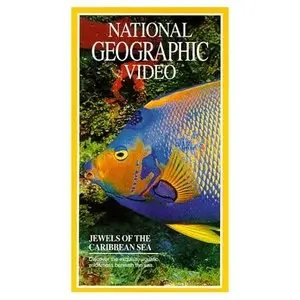 National Geographic: Jewels of the Caribbean Sea