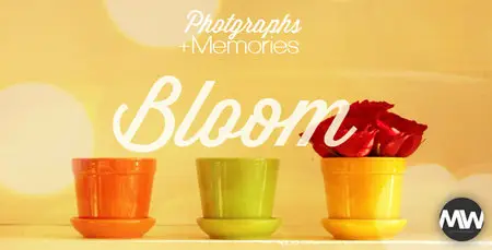 Photographs and Memories Bloom - Project for After Effects (VideoHive)
