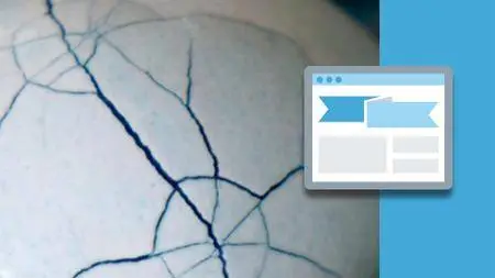 Adobe Animate CC: Data-Driven Animation