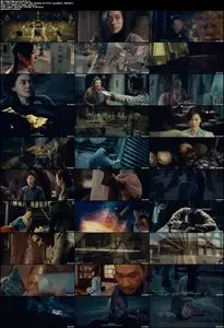 Reign of Assassins (2010)