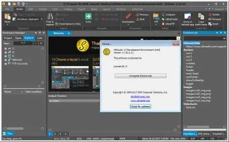 IDM UEStudio 17.20.0.13 (x86/x64)