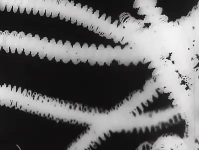 Man Ray's Films (1923-1940)