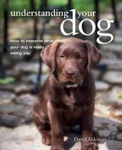 Understanding Your Dog: How to interpret what your dog is really telling you