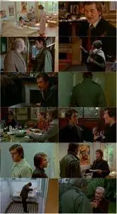 That Most Important Thing: Love (1975) L'important c'est d'aimer
