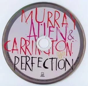 Murray, Allen & Carrington Power Trio - Perfection (2016) {Motema Music MTA-CD-193}