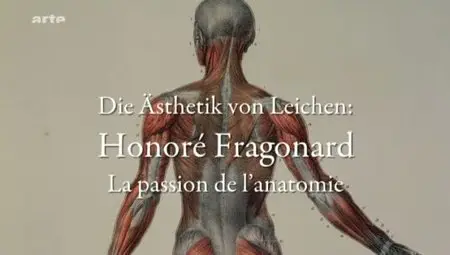 (Arte) Honoré Fragonard, la passion de l'anatomie (2011)