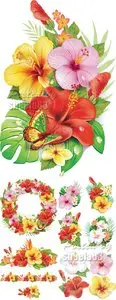 Tropical Flowers Vector