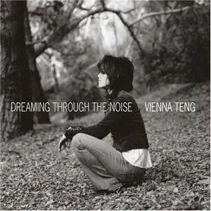 Dreaming Through the Noise - Vienna Teng