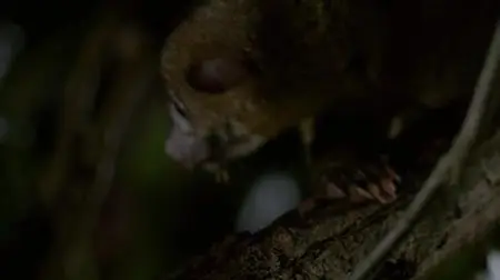 Dead by Dawn S01E05