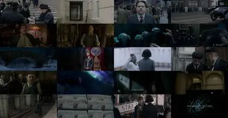 Fantastic Beasts and Where to Find Them (2016)