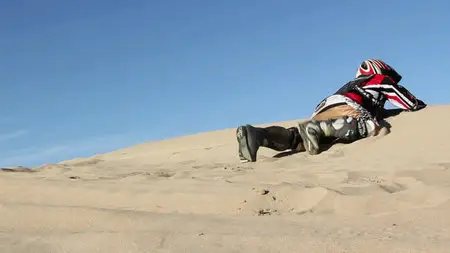 Sand Sharks (2011)