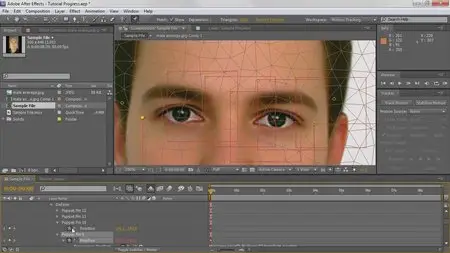 Tutsplus - Fantastic Facial Motion Capture (2012)