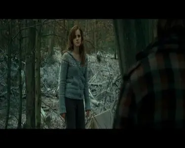 Harry Potter and the Deathly Hallows: Part 1 / Гарри Поттер и Дары смерти: Часть 1. 2-х диск. спец. издание (2010)