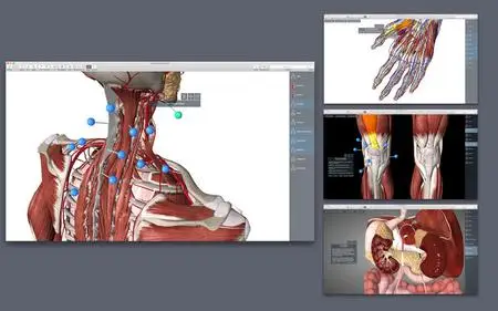 Essential Anatomy v5.0.5 macOS