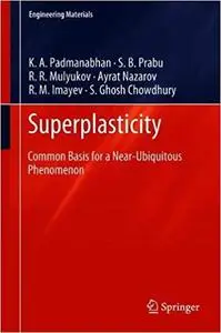 Superplasticity: Common Basis for a Near-Ubiquitous Phenomenon