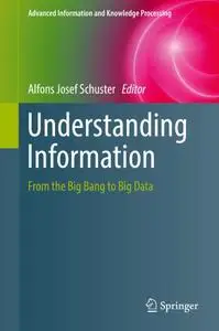 Understanding Information: From the Big Bang to Big Data