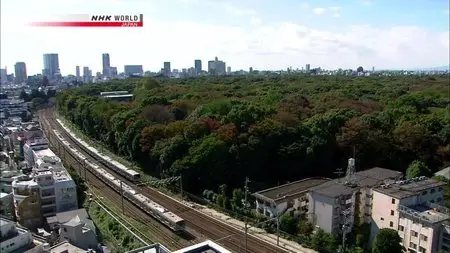 NHK - Meiji Jingu Forest: A 100-Year Experiment (2015)