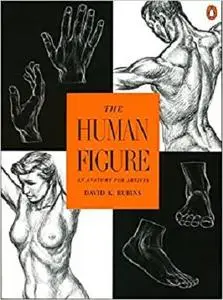 The Human Figure: An Anatomy for Artists