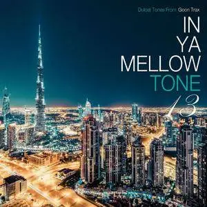 VA - In Ya Mellow Tone 13 (2017)