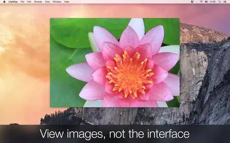 LilyView 1.2.3 Mac OS X