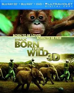Born to Be Wild (2011)