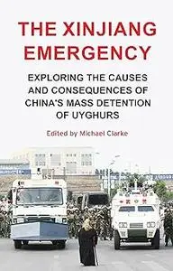 The Xinjiang emergency: Exploring the causes and consequences of China’s mass detention of Uyghurs