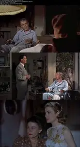 Rear Window (1954)