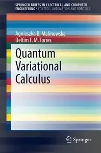 Quantum Variational Calculus (Repost)