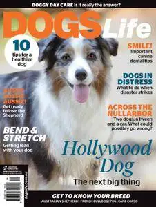 Dogs Life - June 01, 2016