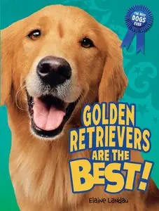 Golden Retrievers Are the Best! (The Best Dogs Ever) (repost)