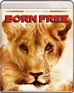 Born Free (1966) [w/Commentary]