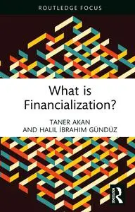 What Is Financialization? (Routledge Frontiers of Political Economy)