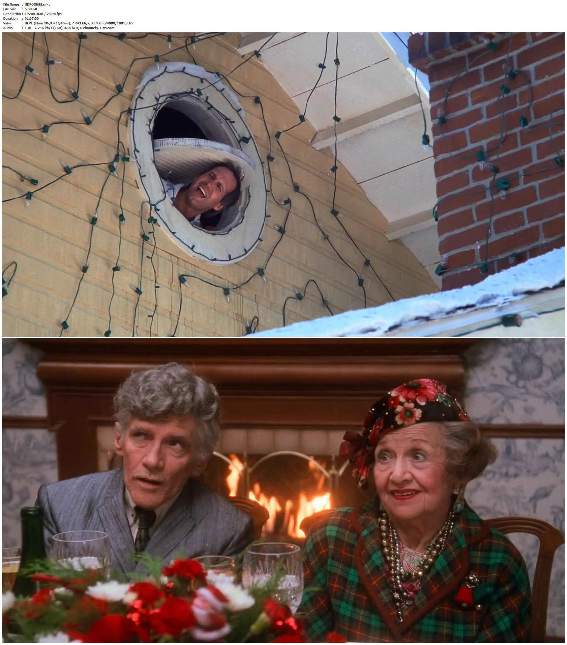 National Lampoon's Christmas Vacation (1989) / AvaxHome