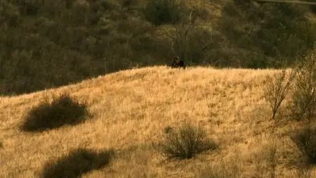 Gang Related S01E13