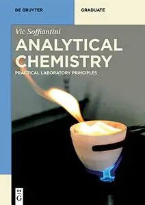 Analytical Chemistry: Principles and Practice (De Gruyter Textbook)