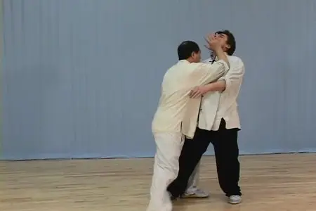 Shaolin Kung Fu Fundamental Training (Repost)