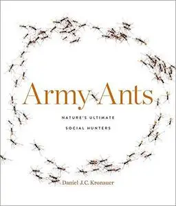 Army Ants: Nature’s Ultimate Social Hunters