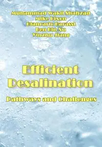 "Efficient Desalination Pathways and Challenges" ed. by Muhammad Wakil Shahzad, et al.
