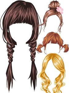 Vector: Wigs and Hair
