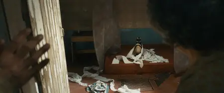 My Penguin Friend (2024)