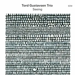 Tord Gustavsen Trio - Seeing (2024)