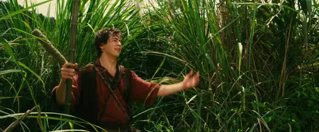 The Forbidden Kingdom (2008)