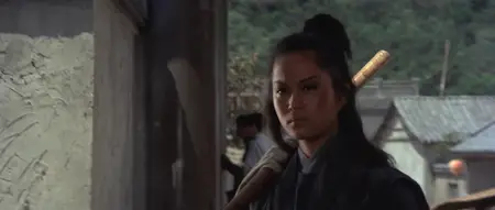 The Young Avenger (1972)