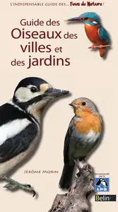 Jérôme Morin, "Guide des oiseaux des villes et des jardins"