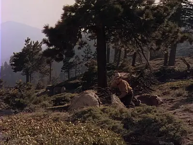 Gunsmoke (1953)