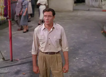 Lili (1953)