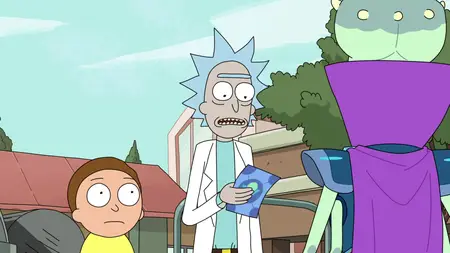 Rick and Morty S03E08