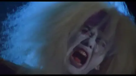 Erotic Ghost Story II (1991) [ALTERNATE CUT]