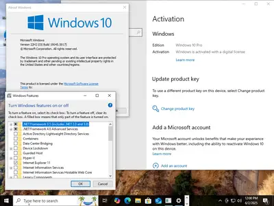 Windows 10 Pro 22H2 build 19045.5917 (x64)Preactivated Multilingual